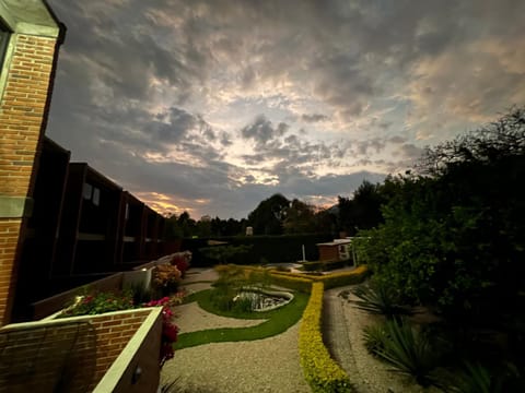 Day, Natural landscape, Garden, Garden, Garden view, Sunset