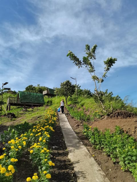 MIRA AgroPark Campo de acampamento/
Resort para trailers in Antipolo