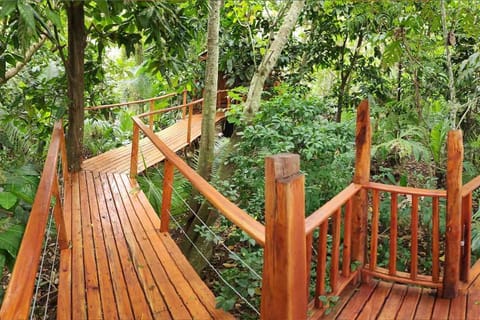 Tukulolo Treehouses Bed and Breakfast in Tongatapu, Tonga