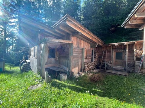 Almhütte - Skihütte am Goldeck in Kärnten Apartment in Spittal an der Drau