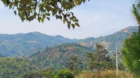 The Heaven Homestay Bảo Lộc Nature lodge in Lâm Đồng