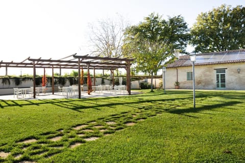 Property building, Garden, Garden view