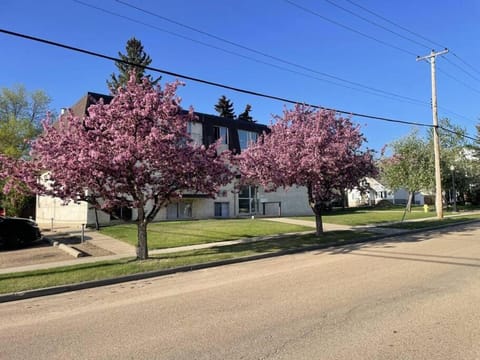 Stunning 1 Bedroom Apartment Condo in Camrose