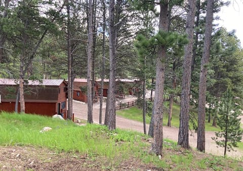 Trailshead Lodge Cabin 1 Casa in Lead