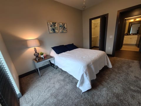 520 Neil Luxury 2 Bedroom Condo in Champaign
