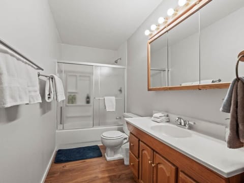 Shower, Toilet, Bathroom, Bath, towels