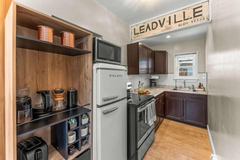 Stylish 1BR Airbnb in Leadville with Mountain Views - Near Skiing - Pets okay House in Leadville