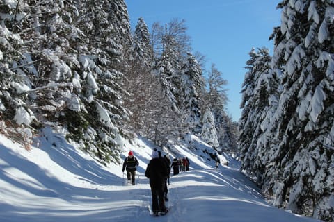 Winter, Hiking