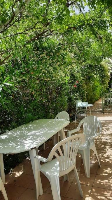 Patio, Spring, Garden, Dining area