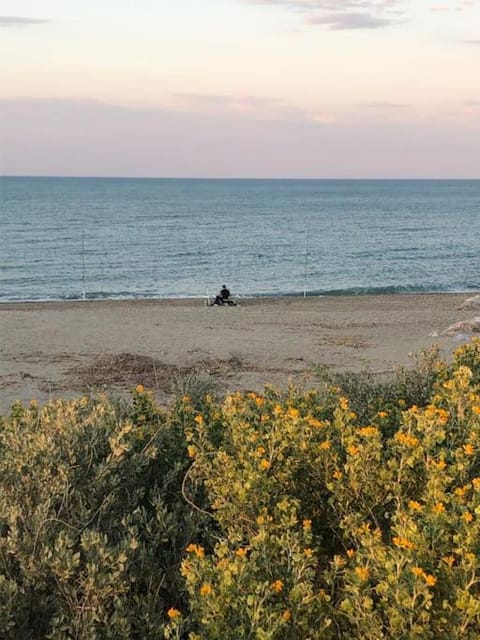 Logement plage Condo in Saint-Cyprien