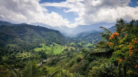 View (from property/room), Other, Decorative detail, Garden view, Landmark view, Mountain view, River view