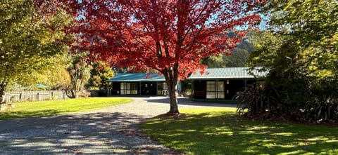 Property building, Garden view