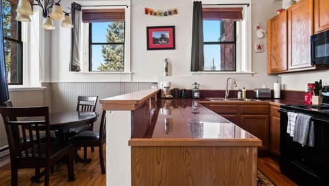 Papa's Place - blocks from downtown Condo in Leadville