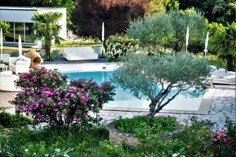 Patio, Spring, Summer, Garden, Garden view, Pool view, Swimming pool, Breakfast, sunbed