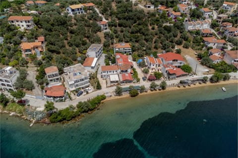 Natural landscape, Bird's eye view, Location