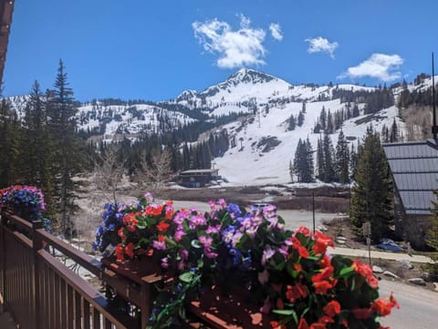 Brighton Ski Resort Hidden Falls 1 Bedroom Chalet Utah House in Wasatch County