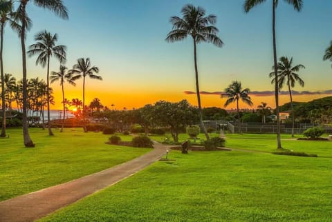 E111 Ground Floor Poolside Patio Villa in Poipu