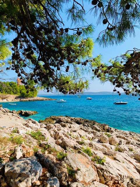 Villa Hvar II Apartment in Dubrovnik-Neretva County