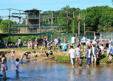 Spring, Day, People, Natural landscape, Lake view, River view, children, group of guests