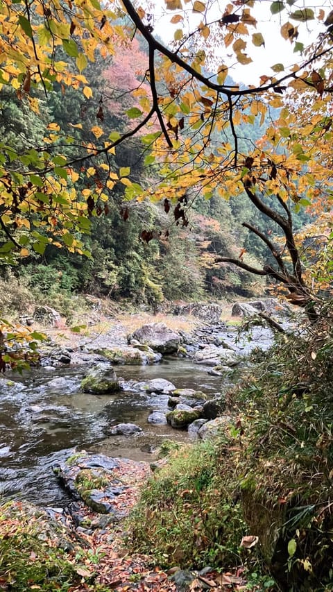 川辺-KAWABE-BBQ-川遊び-fishing House in Saitama Prefecture