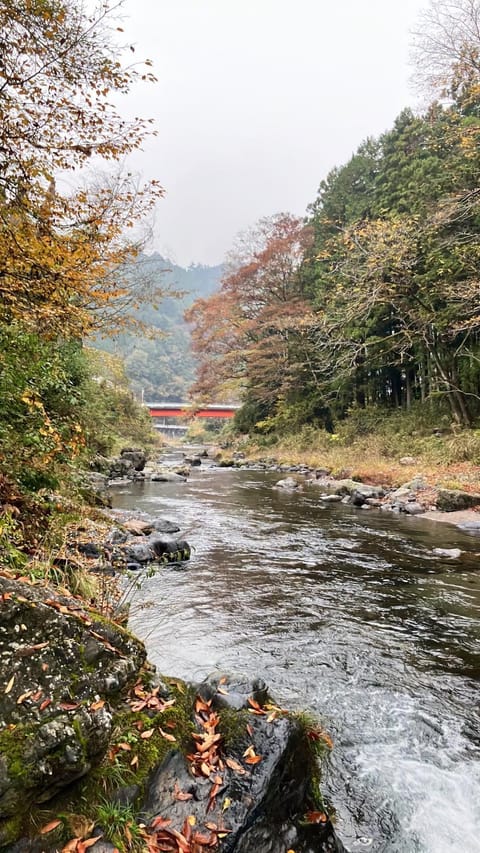 川辺-KAWABE-BBQ-川遊び-fishing House in Saitama Prefecture