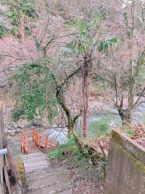 川辺-KAWABE-BBQ-川遊び-fishing House in Saitama Prefecture