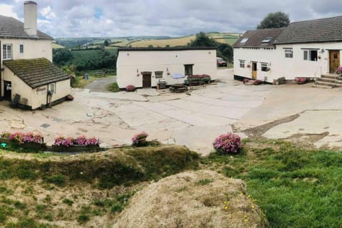 Property building, Day, Neighbourhood, Garden, Garden view