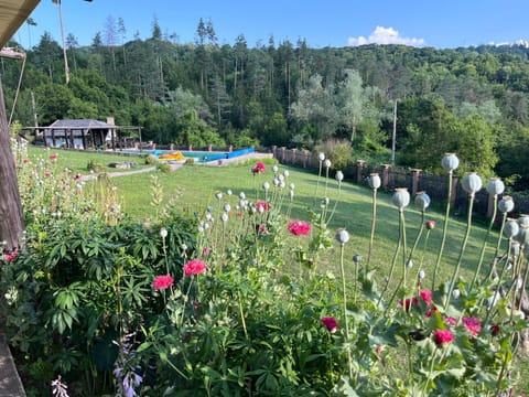 Garden, Swimming pool