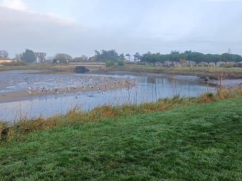 Le 501 F2 de plain-pied avec terrasse Apartment in Courseulles-sur-Mer