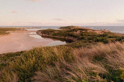 Bluey House in Warrnambool