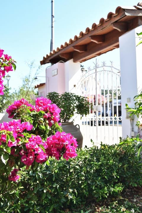 Patio, Facade/entrance, Garden