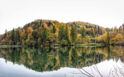 Apartment Andreja Condo in Plitvice Lakes Park