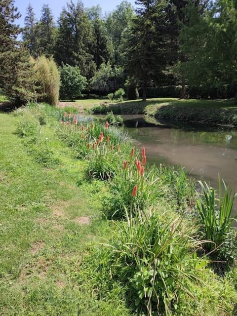 Le gite des Choiseaux, piscine et parc au cœur de la nature House in Centre-Val de Loire