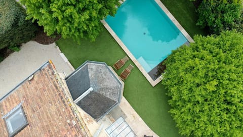 Garden, Garden view, Pool view, Swimming pool, sunbed