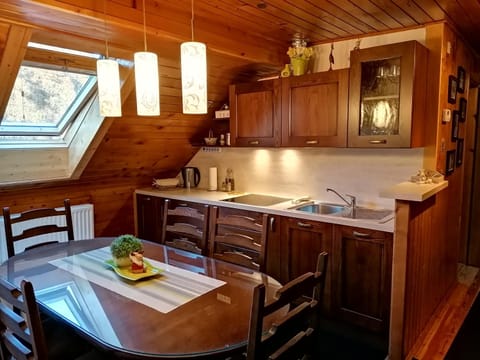 Kitchen or kitchenette, Dining area