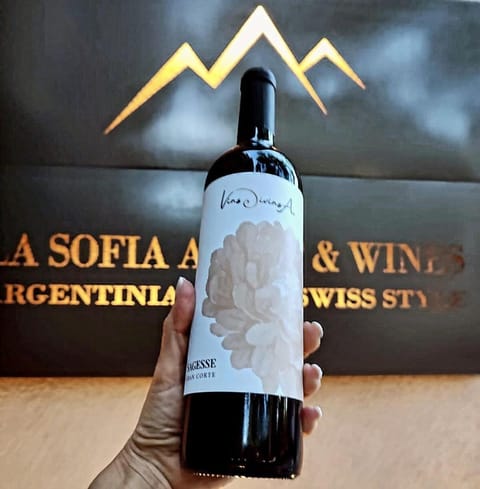La Sofia Apart & Wines Condo in Mendoza