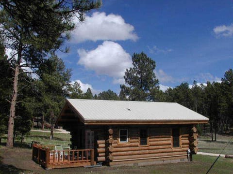 Renegade Log Cabin Casa in West Custer Township
