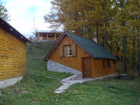 Guest House Tara Canyon Bed and Breakfast in Montenegro