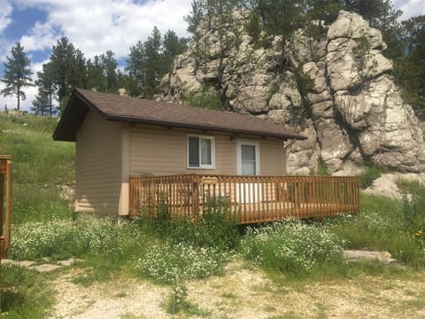 2 Cabin for simple people not for picky rental car available Chalet in West Custer Township