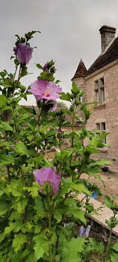 Gîte l'Echauguette du Perche House in Normandy