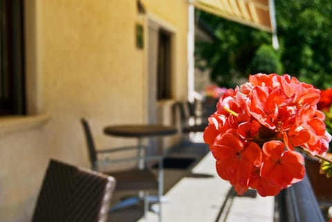 Balcony/Terrace, Decorative detail