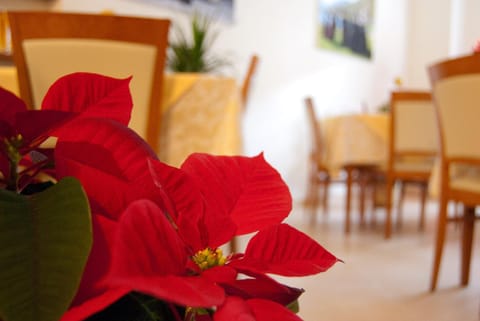 Living room, Decorative detail, Seating area