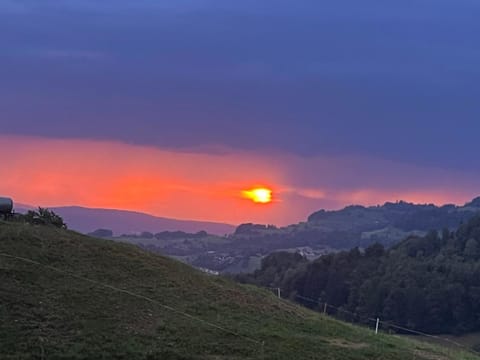 Charming alps apartment perfect for walk/cycle/ski Apartment in Canton of Zurich