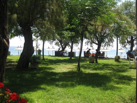 Eleni Rooms Develiki Bed and Breakfast in Halkidiki