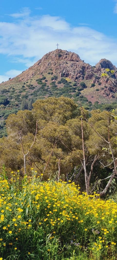 Nearby landmark, Photo of the whole room