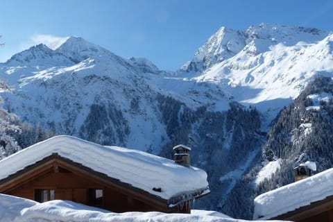 Chataigne, cosy 3 bedroom apartment with great views Copropriété in Sainte-Foy-Tarentaise