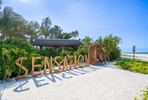 Beach, Sea view