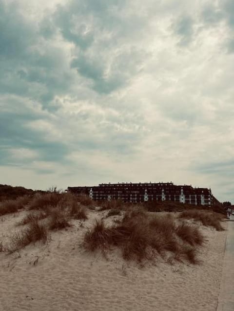 Property building, Natural landscape, Beach