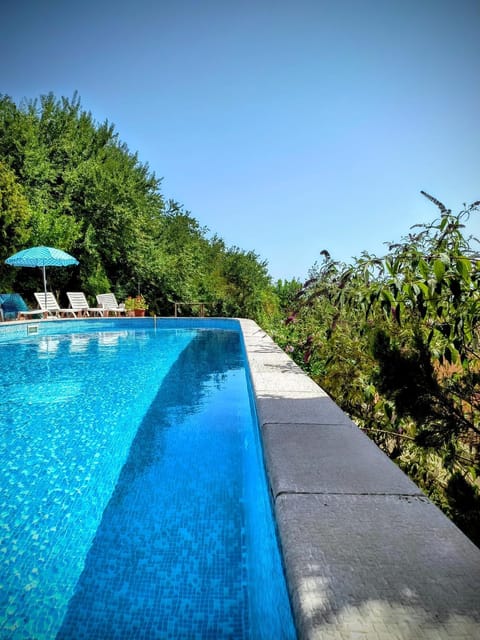 Day, Pool view, Swimming pool, sunbed