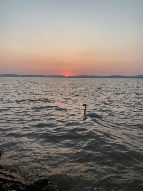 Natural landscape, Beach, Lake view, Sunset